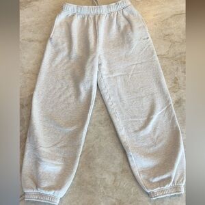 Aritzia Tna Cozy Fleece Mega Jogger/Sweatpant in Heather Cloud White!